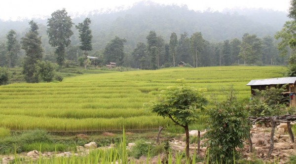 Oh no the image is broken