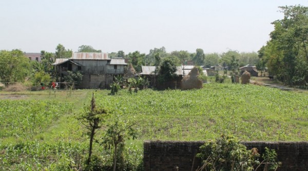 Oh no the image is broken