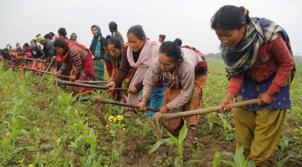 Oh no the image is broken