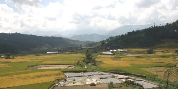 Oh no the image is broken