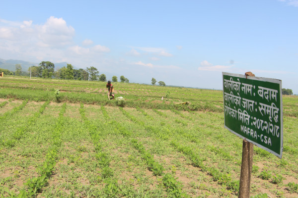 Oh no the image is broken